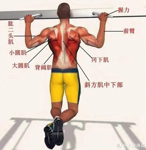 宁夏园林绿化工程收费